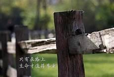人生已过半 致自己