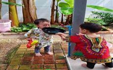 泰国电影吃小孩心脏