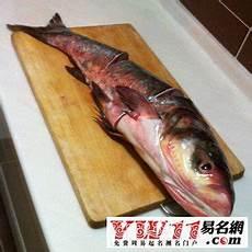 梦见老公雇人杀我